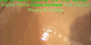 Jessica Carvalho Porn Star Brasilian Nude Solo Porn Videos