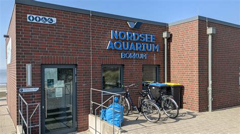 BORKUM Tag 3 Nordsee Aquarium Besuch Der Krossen Krabbe