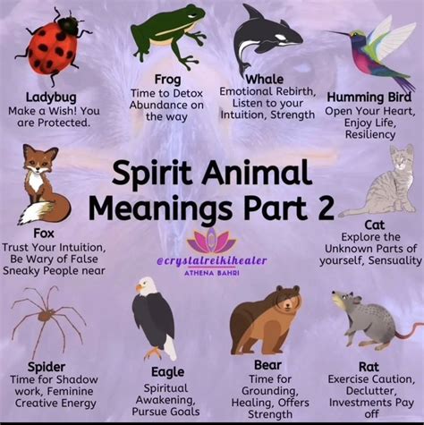 Pin on Pagan | Spirit animal meaning, Animal spirit guides, Animal totem spirit guides