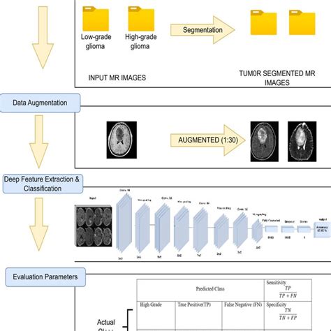 Overall Methodology To Classify Low And High Grade Gliomas Using The