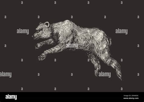 Cave bear drawing hi-res stock photography and images - Alamy