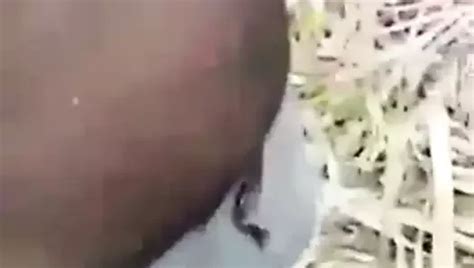 Png Daddy Kaikai Kok Gay Bear Bear Porn XHamster