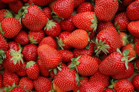 Voici Pourquoi Vous Devriez Manger Des Fraises Plus Souvent Le Mag Au