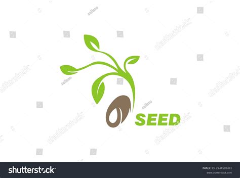 Growing Seed Logo Design Template Fit Stock Vector Royalty Free