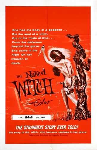 Naked Witch Poster Metal Sign A X Aluminium Amazon De