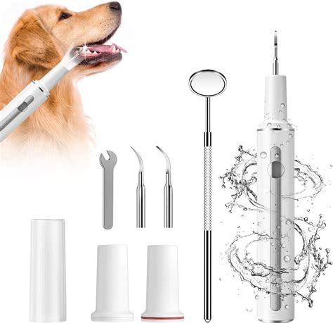 Vvhomife Kit De Nettoyage Des Dents Pour Chien Outil De Soins Dentaires Ultime Pour Animaux De