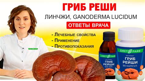 Гриб рейши, Линчжи (Ганодерма) применение, лечебные свойства, польза ...