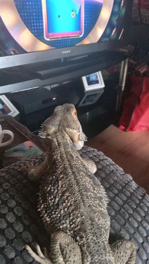 Chilling Watching The Telly Rcasualireland