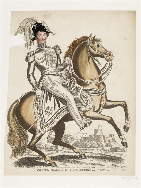prince albert  saxe coburg  gotha london museum