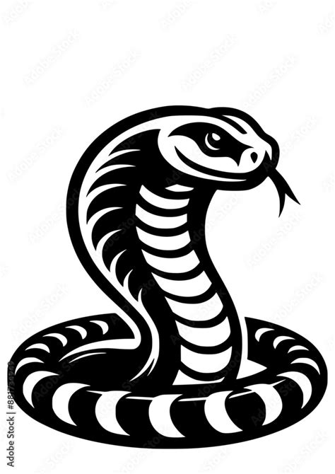 Snake Svg Reptile Svg Cobra Svg Vipper Svg Boa Svg Snake