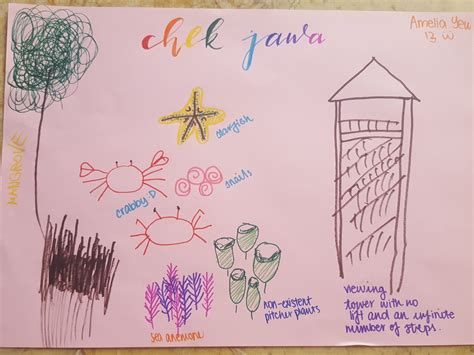 Adventures With The Naked Hermit Crabs A Jelly Good Time With The Naked Hermit Crabs