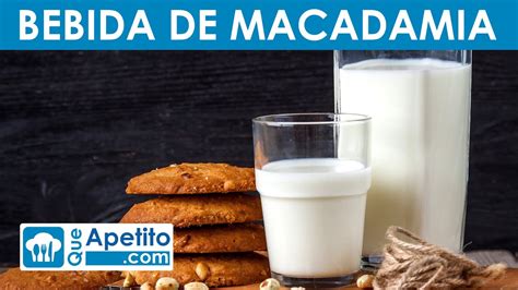 8 Propiedades Y Beneficios De La Bebida De Macadamia QueApetito YouTube