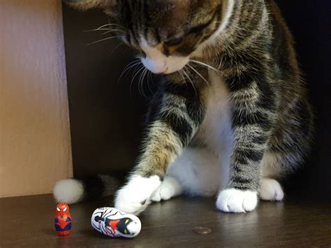 Anti-Venom (Анти-Веном, Эдди Брок) :: Marvel :: сообщество фанатов ...