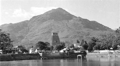 Arunachala Cave-Dwellers and Sadhus - David Godman