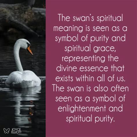 Swan Symbolism And 9 Meanings Understanding The Spiritual Significance