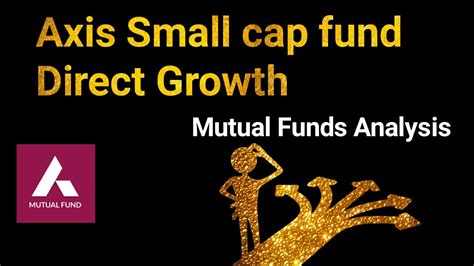 Small Cap Fund Direct Growth Diversification Image To U