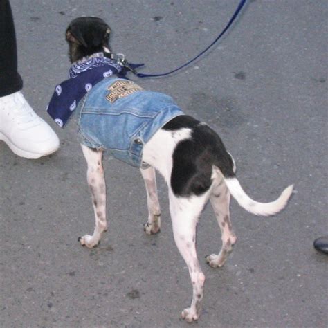 Yearning Gay On Tumblr