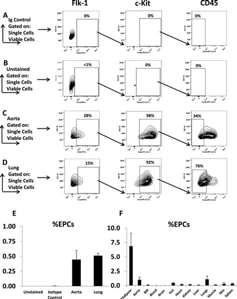 Flow Cytometry On Normal Nude Mouse Tissues After Gating For Viable Download Scientific