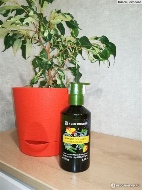 Жидкое мыло для рук Ив Роше / Yves Rocher Манго и кориандр - «Очень ...