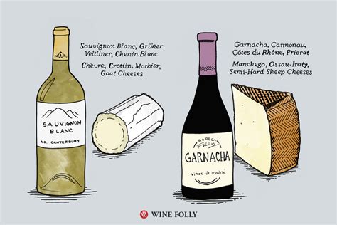 6 Tips on Pairing Wine and Cheese | Wine Folly