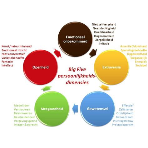 Big Five Test Bcoach Coachopleidingnl