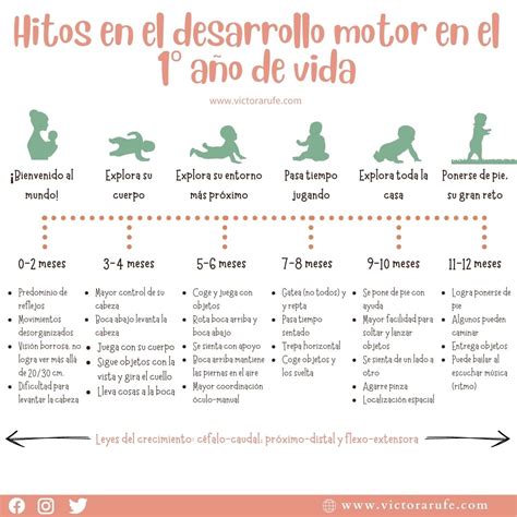 Actividades Para Promover El Desarrollo Motor En Bebés De 0 A 6 Meses