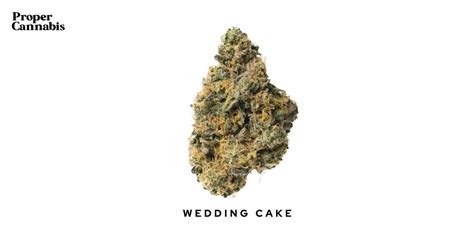 Wedding Cake Strain Proper Cannabis