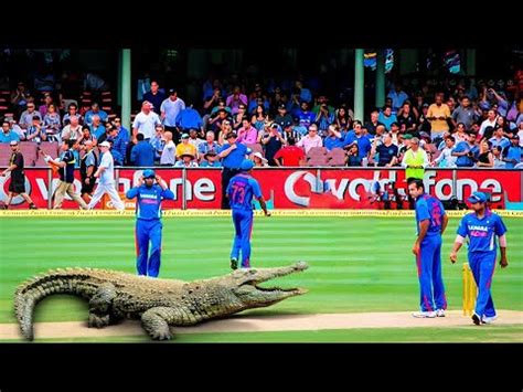 Moments if Weren't Filmed, Nobody Would Believe in cricket - YouTube