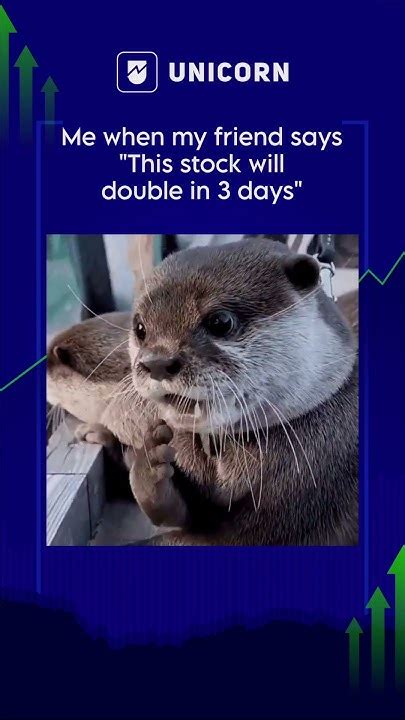 Stock market meme | Stock market memes | Stock market app | Squirrel ...