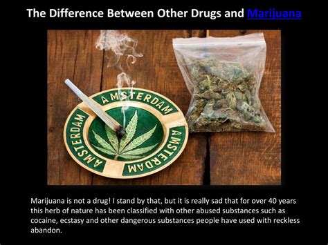 PPT - The Difference Between Other Drugs and Marijuana PowerPoint