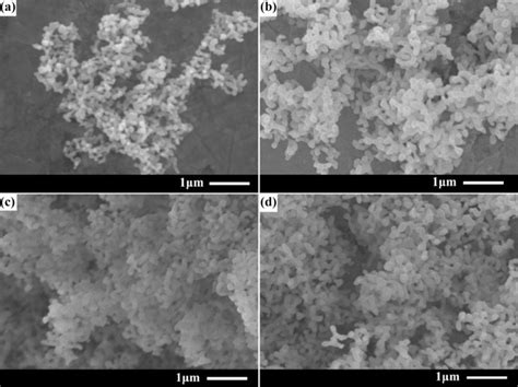 Sem Images Of Al O Powders Under Different Of Al Concentrations A