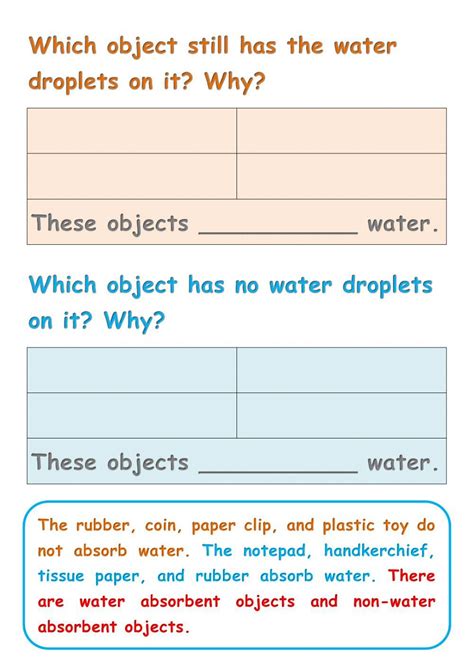 Science Year 1 Skce Unit 8 Absorption Water