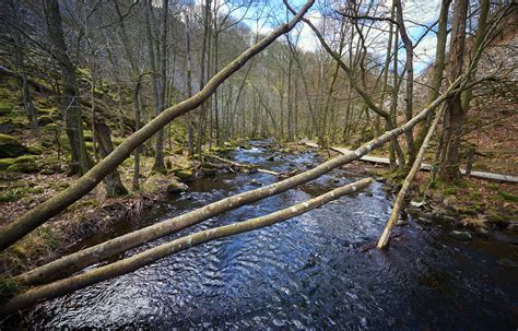 Söderåsens Nationalpark Robin Isacsson Flickr