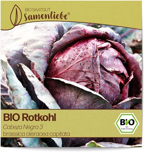 Samenliebe BIO Kohlrabi Samen Alte Sorte Purple Vienna Leicht Nussiger