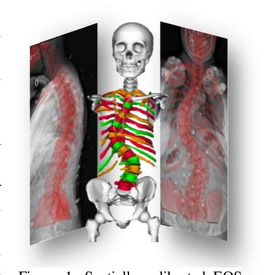 Figure From Development And Validation Of Image Based Subject