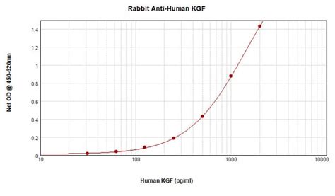 Kgf Polyclonal Antibody Peprotech Invitrogen G Unconjugated