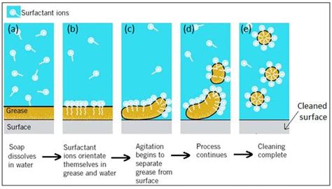 Explain The Cleansing Action Of Soaps