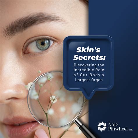 Into the Skin: Discovering the Incredible Role of Our Body's Largest Organ.