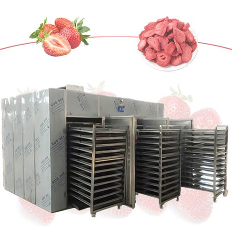Hot Air Circulation Tray Dryer Sus Dryer Oven For Vegetables Fruits China Tea Drying Dryer