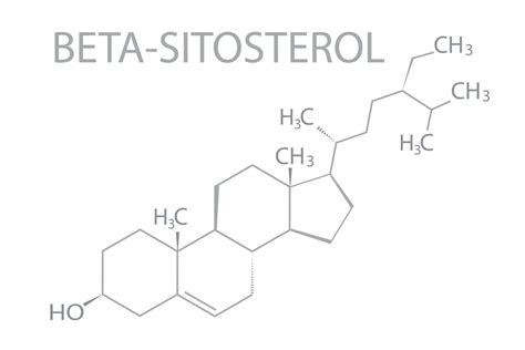 Beta Sitosterol Molecular Skeletal Chemical Formula 36465241 Vector Art At Vecteezy