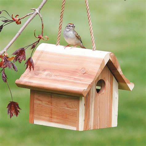 Where to Hang a Wren Bird House | Bird house, Unique bird houses, Bird