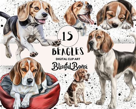 Beagles Clip Art Beagles Images For Projects Of Dogs Digital Images Of