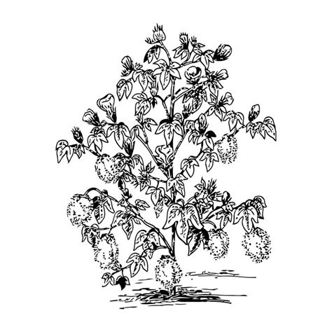 Vintage Tree Vector Illustration Design 32422339 Vector Art At Vecteezy