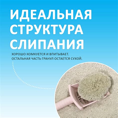Наполнитель KikiKat комкующийся супер-белый Лаванда для кошек - купить ...