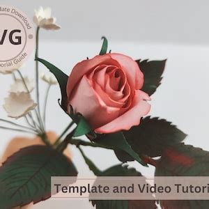 Paper Flower Rose Bud Template Tone Rose Bud Leaves Digital Svg