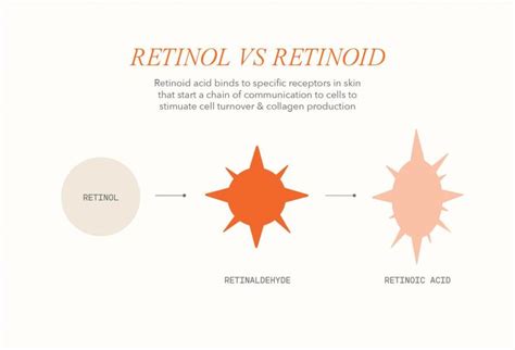 Retinol Vs Retinoid What S The Difference Dr Dennis Gross