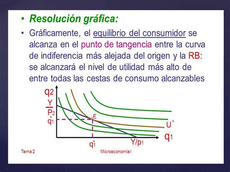 Teoria Del Consumidor PPT