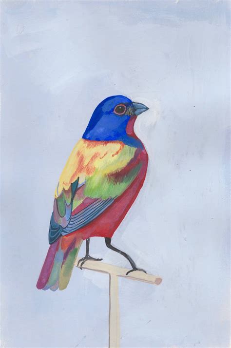 Painted bunting Painting by Daisy Clarke | Saatchi Art