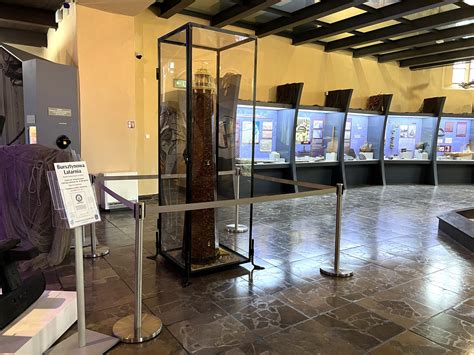 Ma ponad 2 metry i waży 13 kg! Nowa atrakcja w Muzeum Rybołówstwa w