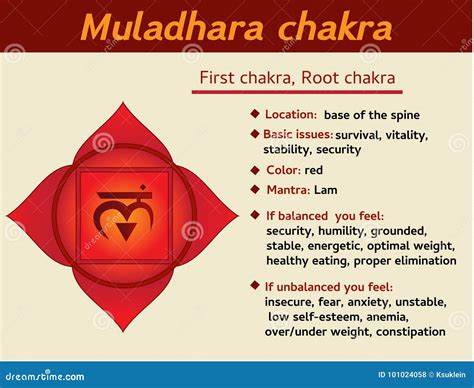 Chakra De Muladhara Infographic Primero Descripci N Del S Mbolo Del